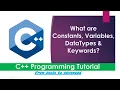 06 Lecture What are Constants Variables DataTypes Keywords C programming tutorial
