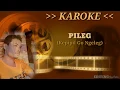Download Lagu PILEG KAROKE