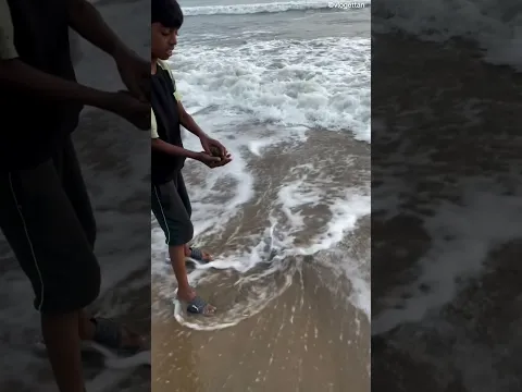 #bts