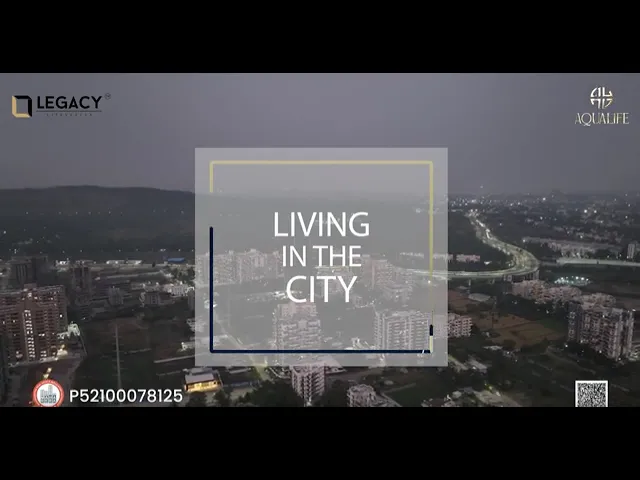 Project Video