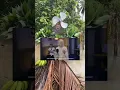 Download Lagu Anisa Rahman menangis melihat ini  😅😅