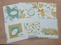 Facebook LIve Replay - Stampin Up Tranquil Thoughts bundle