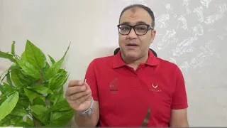 تحدي الاهلي الأكبر في القمة خناقة شوبير سر القائمة واستبعاد زيزو وجرادي اعتذار عن المدرب تشكيل متوقع 