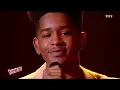 Lisandro Cuxi - « L'Envie d'aimer » (Les 10 Commandements) | The Voice 2017 | Live