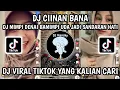 Download Lagu DJ MIMPI DENAI BAMIMPI UDA JADI SANDARAN HATI | DJ CIINAN BANA BY APRI RMX VIRAL TIKTOK TERBARU 2024