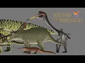 Walking with Dinosaurs size comparison with accurate dinosaurs by TrollMans
