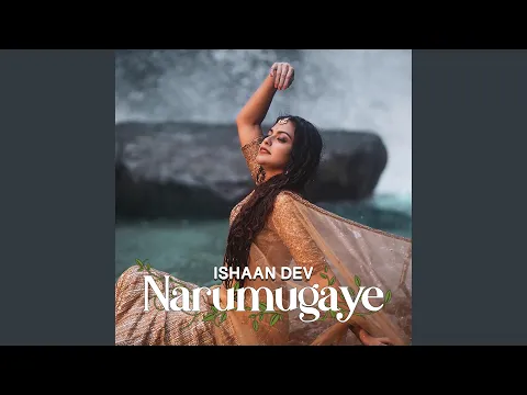 Download MP3 Narumugaye