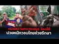 Download Lagu หมดสภาพล่าสุดทหารเขมรป่วยหนักไม่มี โรงบาลรักษาวอนไทยช่วยเหลือ