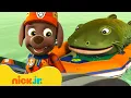 Download Lagu PAW Patrol Rescues a Catfish \u0026 More Sea Animals! 🐟 w/ Ryder | 10 Minutes | Nick Jr.