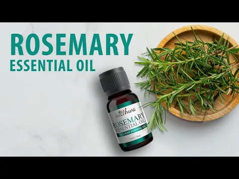 Download MP3 Satthwa Rosemary Essential Oil