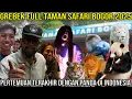 Download Lagu GREBEK FULL TAMAN SAFARI 2025 PERTEMUAN TERAKHIR DENGAN PANDA DI INDONESIA#Audreykingofthejungle