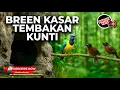 Download Lagu 🔴Masteran Bren Cungkok Sambung Kunti vs Tepus Kepala Abu Materi Cucak Cungkok Super Gacor