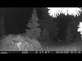 Central Oregon Trail Cams 2025 Review