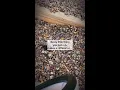 Litter picking made easy