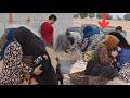 Download Lagu Ajralish va uchrashish: Hakimeh va uning singlisi Shirinning qaytishi