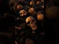 Battle Born  / Five Finger Death Punch