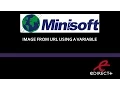 Image From a URL Using a Variable