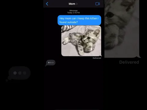 GETTING A CUTE KITTEN PRANK #shorts