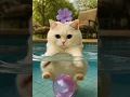 Lagu Swimming Cat Discovers Belly Bubble Powers! 💙 | AI Generated Pool Magic