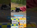 Joyriders killed after driving wrong way down motorway RTE Radio 1