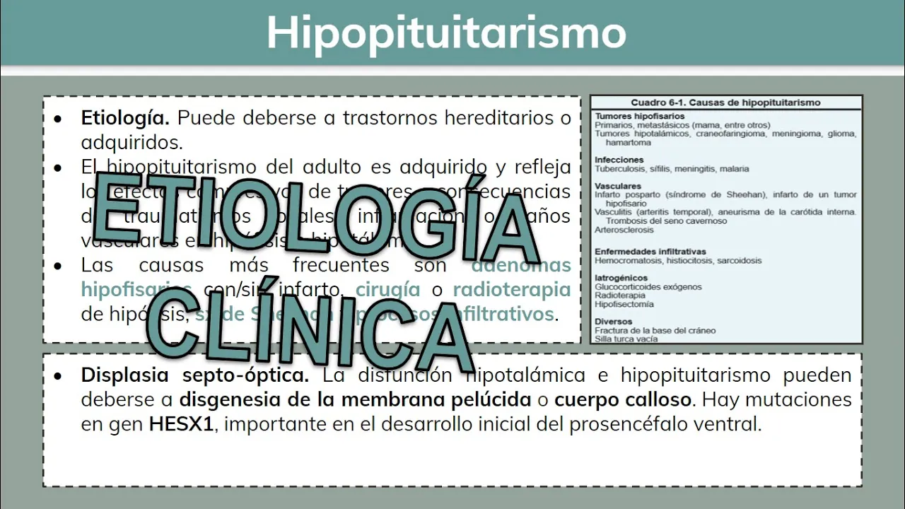 ⚕️🩺 Hipopituitarismo 1/2 - Endocrinología