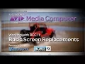 Let s Edit with Media Composer - Basic Screen Replacements