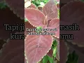 Download Lagu MULAI SEKARANG AKU MENGERTI #flosemarang #motivasi #katahatimotivasi #parenting #katakatabijak