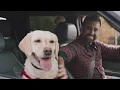 My Safelite Story Livelihood short