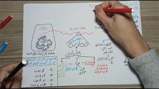 اقوى مراجعة للوحدة 2 العلاقة بين بنية ووظيفة البروتين من الالف الى الياء الجزء الاول 