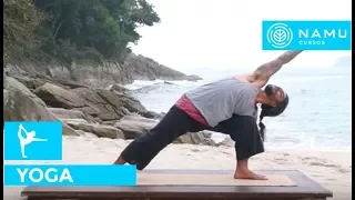 Posicao de yoga - angulo lateral estendido Andre Meyer