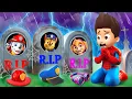 Goodbye All My Friends! - Please Wake Up - Very Sad Story | Paw Patrol 3D Animation | Rainbow 3