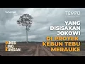 Download Lagu Dari Cetak Sawah Prabowo ke Kebun Tebu Jokowi di Papua | Dines Lingkungan Eps #4