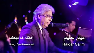 Haider Salim Qad Mikashad حیدر سلیم قد مى كشد 