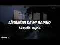 Lágrimas de mi barrio ~ Cornelio Reyna / (letra)