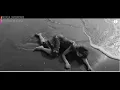 Natalia Lafourcade - Alfonsina y El Mar