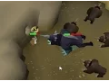Slaying new designed Night beast level - 374
