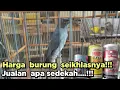 Download Lagu HARGA BURUNG SEIKHLASNYA❗❗❗ JUALAN APA SEDEKAH INI❓❓
