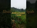 Download Lagu SHOLAWAT NARIYAH PENDEK