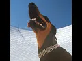 Good Lies (Outro)