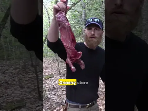 Hear me out - porcupine soup!
