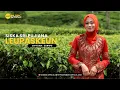 Download Lagu LEUPASKEUN - SISKA SRI PUJIANA || ( Official Music Video Hz )