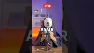 I Think It Is Not Good For You To Stay Short Shorts Livestream Asmr 