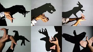Download Hand shadow Performance III Make Animals By Hand shadow - Shadowgraphy - shadoes MP3