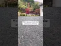 Lagu Our Cobblestone Driveway Project: Masterpiece in Stone | #CobbleStoneDriveway #CobbleStone