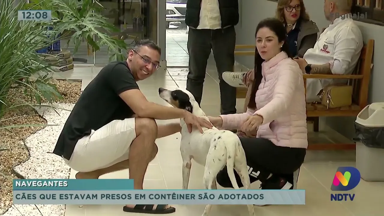 Cães que estavam presos em contêiner no porto de Navegantes são adotados