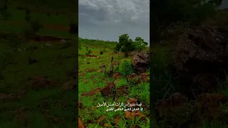 قصة جديدة من التراث الحساني الأصيل