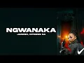 Janesh, Hitboss SA - Ngwanaka (Visualizer)