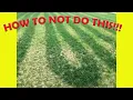 How To Use A Spreader For Fertilizer