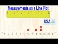 Measurements on a Line Plot