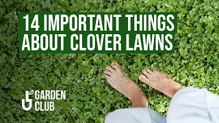 Download 🍀 14 Important Things About CLOVER LAWNS MP3